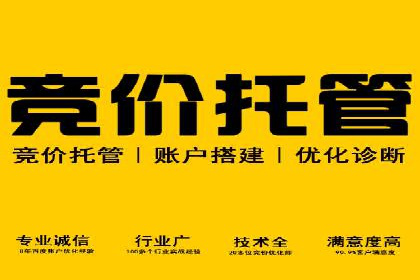 SEM推广案例：品牌知名度提升
